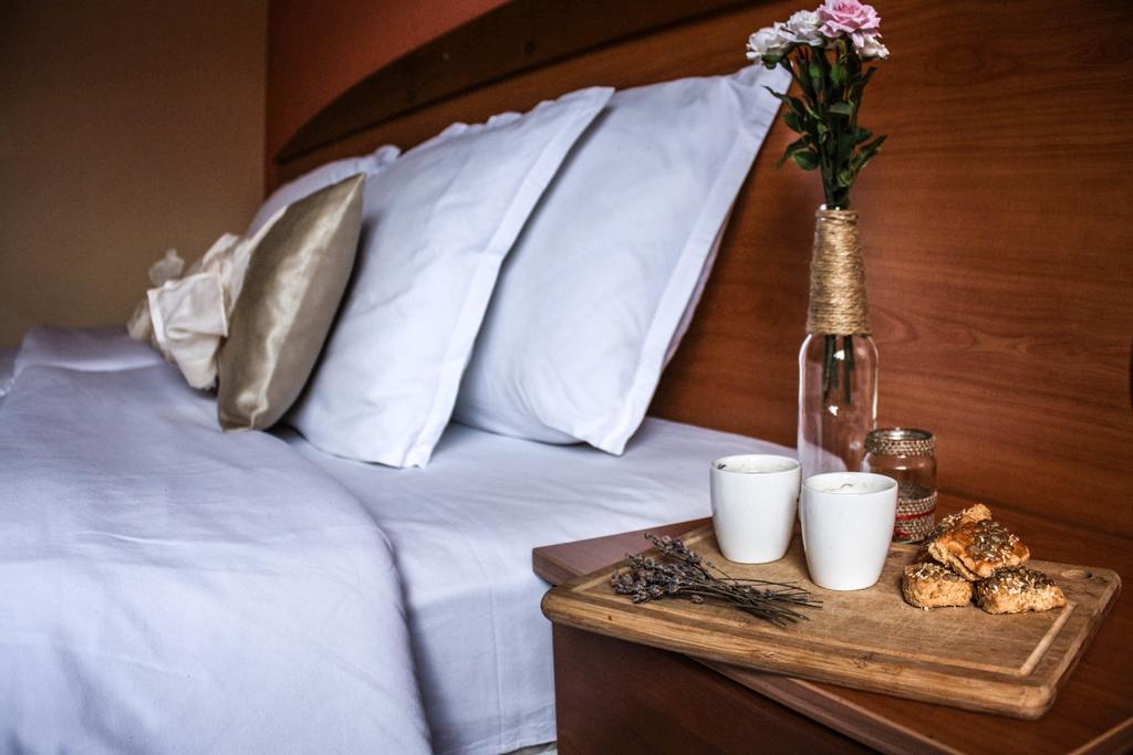 Pirina Club Hotel 班斯科 外观 照片
